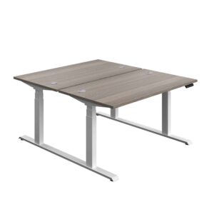Economy Back To Back Sit Stand Desk