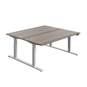 Economy Back To Back Sit Stand Desk