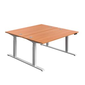 Economy Back To Back Sit Stand Desk