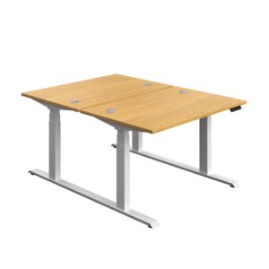 Economy Back To Back Sit Stand Desk