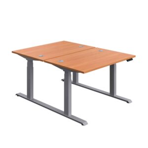 Economy Back To Back Sit Stand Desk