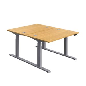 Economy Back To Back Sit Stand Desk