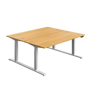Economy Back To Back Sit Stand Desk