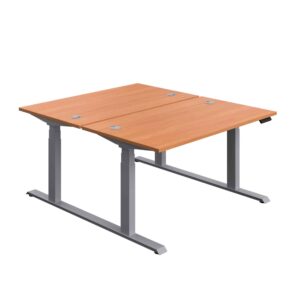 Economy Back To Back Sit Stand Desk