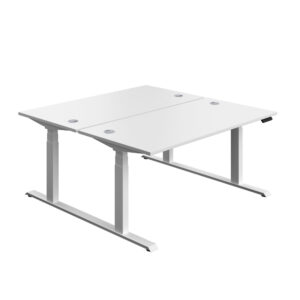 Economy Back To Back Sit Stand Desk