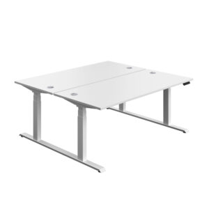 Economy Back To Back Sit Stand Desk
