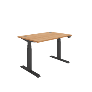 Office Rectangular Dual Motor Sit Stand Desk