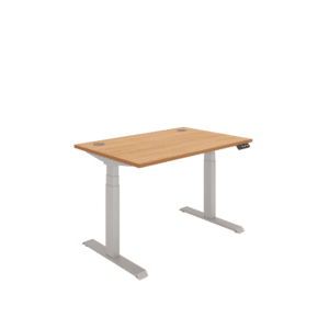 Office Rectangular Dual Motor Sit Stand Desk