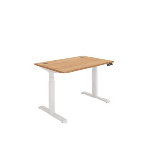 Office Rectangular Dual Motor Sit Stand Desk