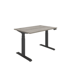 Office Rectangular Dual Motor Sit Stand Desk