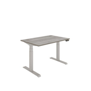 Office Rectangular Dual Motor Sit Stand Desk
