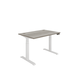 Office Rectangular Dual Motor Sit Stand Desk
