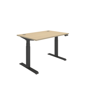 Office Rectangular Dual Motor Sit Stand Desk