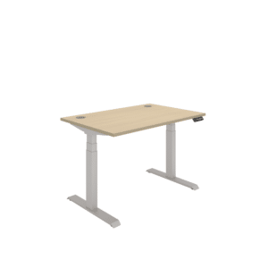 Office Rectangular Dual Motor Sit Stand Desk
