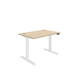 Office Rectangular Dual Motor Sit Stand Desk