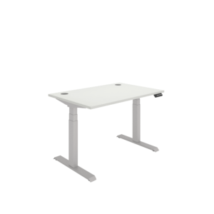 Office Rectangular Dual Motor Sit Stand Desk