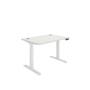Office Rectangular Dual Motor Sit Stand Desk
