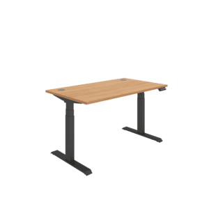 Office Rectangular Dual Motor Sit Stand Desk