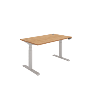 Office Rectangular Dual Motor Sit Stand Desk