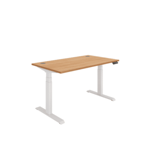 Office Rectangular Dual Motor Sit Stand Desk