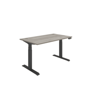Office Rectangular Dual Motor Sit Stand Desk