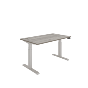 Office Rectangular Dual Motor Sit Stand Desk