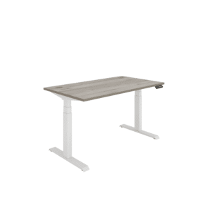Office Rectangular Dual Motor Sit Stand Desk