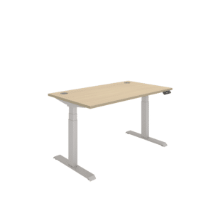 Office Rectangular Dual Motor Sit Stand Desk