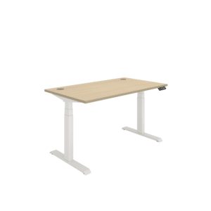 Office Rectangular Dual Motor Sit Stand Desk