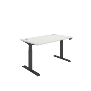 Office Rectangular Dual Motor Sit Stand Desk
