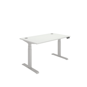 Office Rectangular Dual Motor Sit Stand Desk