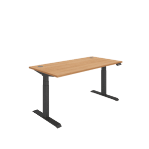 Office Rectangular Dual Motor Sit Stand Desk