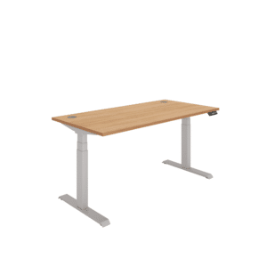 Office Rectangular Dual Motor Sit Stand Desk