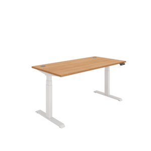 Office Rectangular Dual Motor Sit Stand Desk