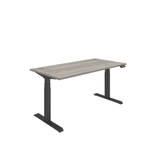 Office Rectangular Dual Motor Sit Stand Desk