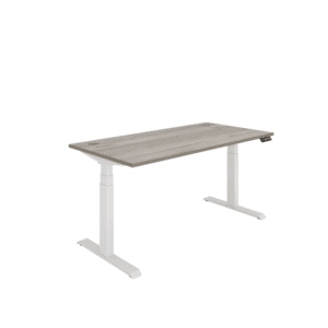 Office Rectangular Dual Motor Sit Stand Desk