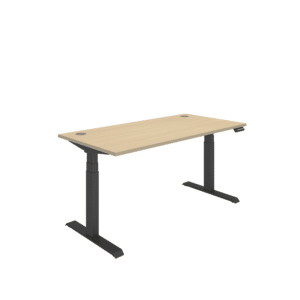 Office Rectangular Dual Motor Sit Stand Desk