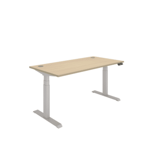 Office Rectangular Dual Motor Sit Stand Desk