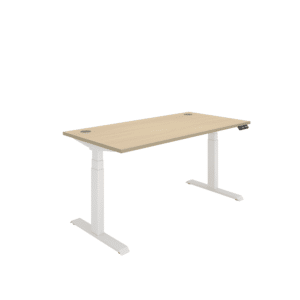 Office Rectangular Dual Motor Sit Stand Desk