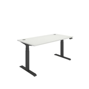 Office Rectangular Dual Motor Sit Stand Desk