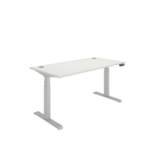Office Rectangular Dual Motor Sit Stand Desk