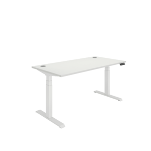 Office Rectangular Dual Motor Sit Stand Desk
