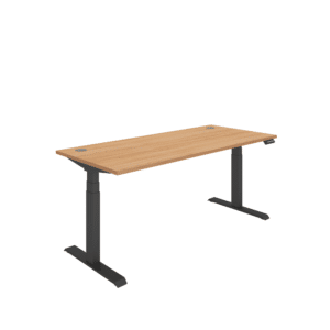 Office Rectangular Dual Motor Sit Stand Desk
