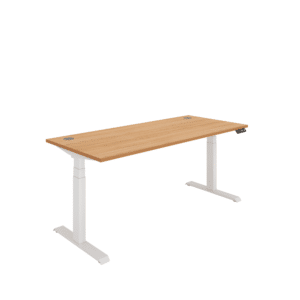 Office Rectangular Dual Motor Sit Stand Desk