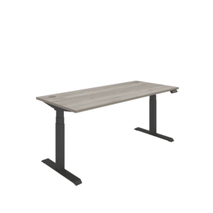 Office Rectangular Dual Motor Sit Stand Desk