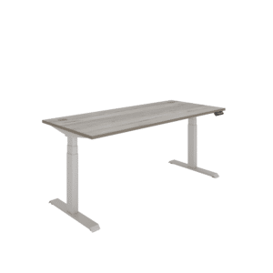 Office Rectangular Dual Motor Sit Stand Desk