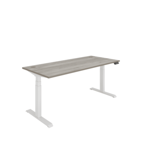 Office Rectangular Dual Motor Sit Stand Desk