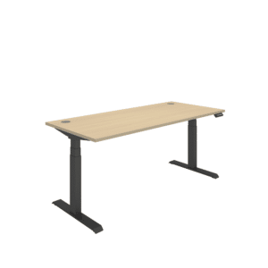 Office Rectangular Dual Motor Sit Stand Desk