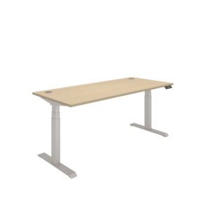 Office Rectangular Dual Motor Sit Stand Desk