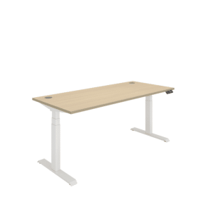 Office Rectangular Dual Motor Sit Stand Desk